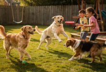 Best Dog Breeds for Families